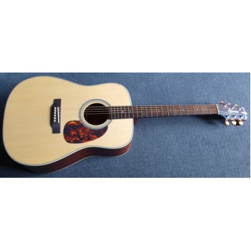 DV200 Solid Mahogany Top Acoustic Guitar w/case