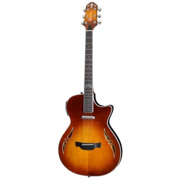 SA-TMVS TM Top Slim Arch LR-F Hybrid EQ Acoustic Guitar w/case